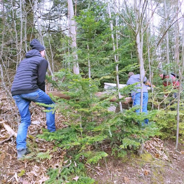 20250316_NALA-Ausflug_Truhe