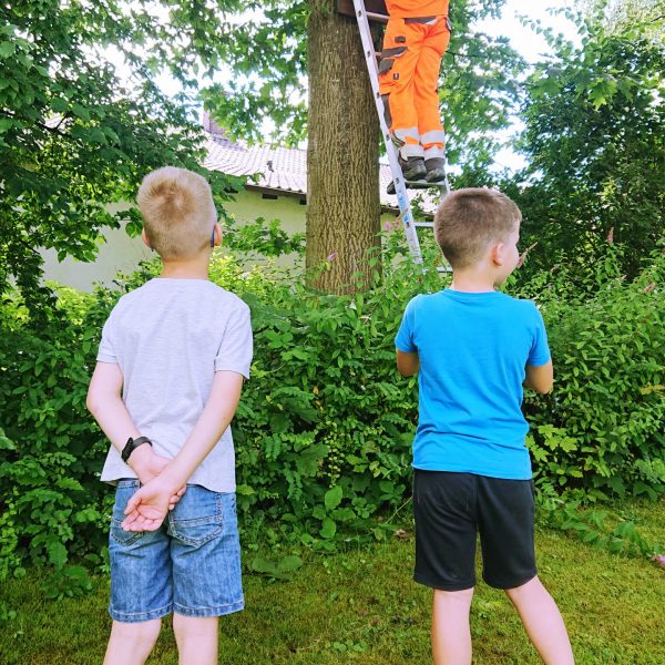 NALA-Koop_OBK_Nistkasten_15