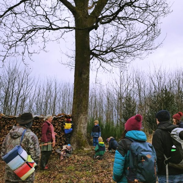 NALA2024_12_Ausflug_Eiche